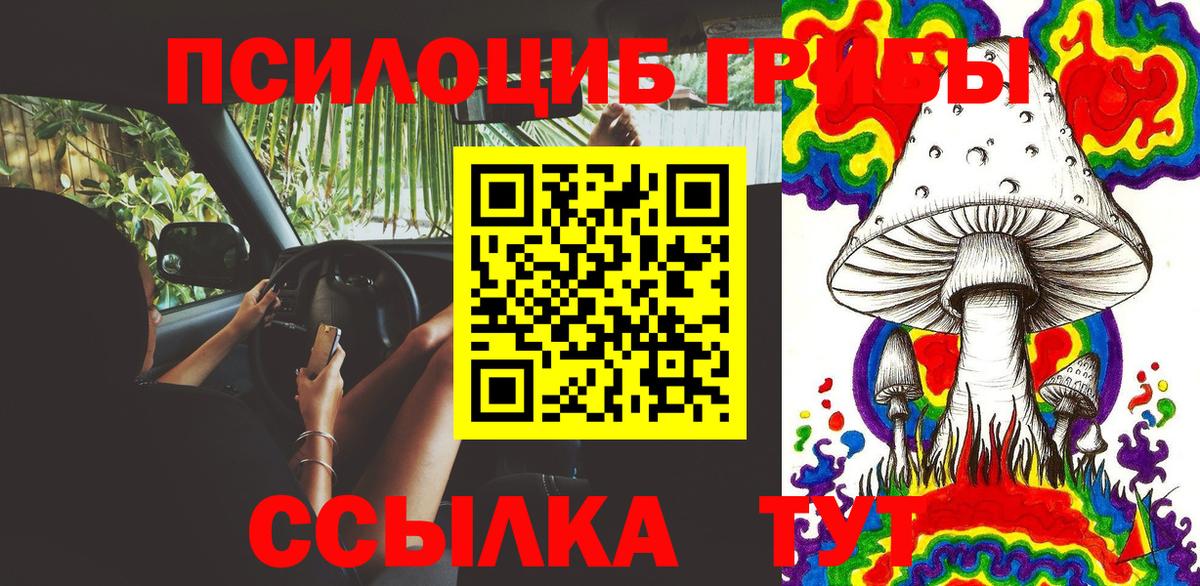 Сургут  Псилоцибиновые грибы MAGIC MUSHROOMS  Галлюциногенные грибы мицелий  Вход с VPN 